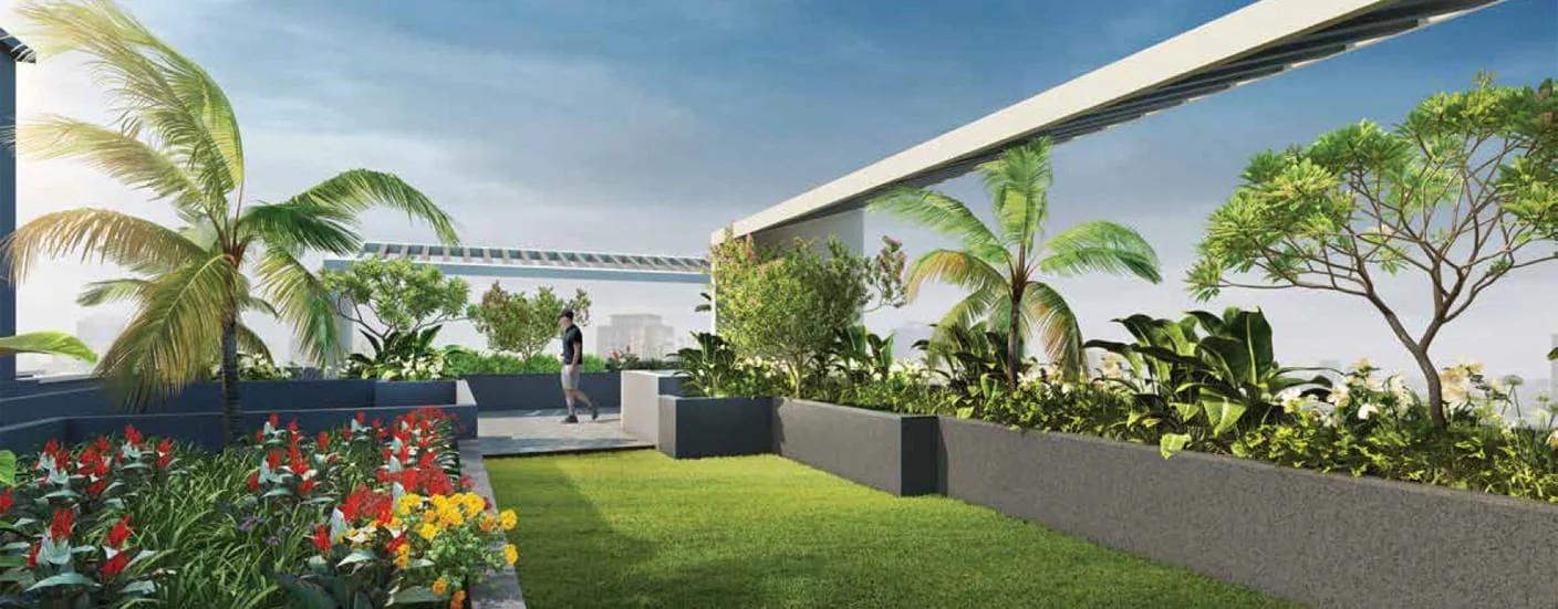 Platinum Citylights Moshi Rooftop Garden Area Image
